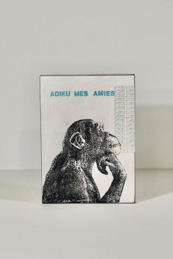 Jan M. Petersen | Adieu mes Amies – Bild 2
