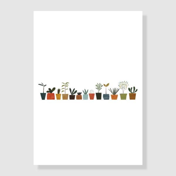 Blanca Gómez | Plants – Bild 2