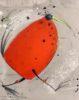 Anne Huber | Piep (Rot) – Bild 2