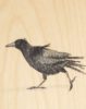 Ask a Duck | Holzbild - Krähe laufend – Bild 2