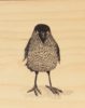 Ask a Duck | Holzbild - Krähe stehend – Bild 2