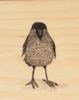 Ask a Duck | Holzbild - Krähe stehend
