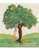 StoryTiles | Fruit picking, Obst pflücken – Bild 2