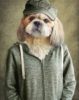 Witziger Hund mit Jacke | Digitaldruck auf Acrylglas – Bild 2