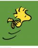 Charles M. Schulz | Woodstock - Green | Handnummeriert