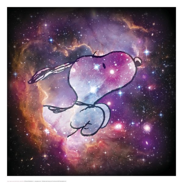 Charles M. Schulz | Reach For The Stars| Handnummeriert – Bild 2