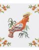 StoryTiles | Tropical Bird