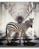 Paul Thierry | ? - Two Zebra – Bild 2