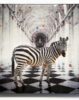 Paul Thierry | ? - Two Zebra