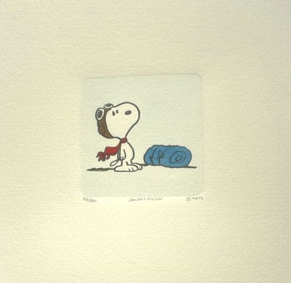 Charles M. Schulz | Sleep over